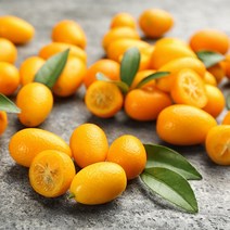 제주 금귤 낑깡 1kg~9kg, 꼬마 (소) 1kg