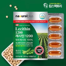 대두레시틴100% 60캡슐 2개월분 캐나다 레시틴 1200, 레시틴1200 60캡슐
