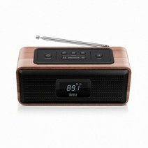 브리츠 BA-DL1 휴대용 무선 블루투스 스피커, 1