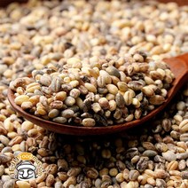 담은제주 컬러보리 500g x 3봉 (제주산), 단품