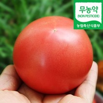 (자연마을)친환경 무농약 논산 완숙 토마토 2kg, 친환경 무농약 논산 완숙 토마토 2kg