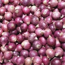 샬롯 (Shallot), 1팩, 2kg