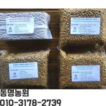 [동명농원] 게이샤 생두/커피씨앗 (파나마게이샤/ 에티오피아 게이샤 /콰테말라 게이샤), 파나마 아부 게이샤 4-GN Natural