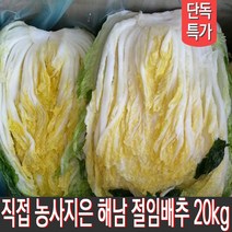 땅끝 해남 직접 재배하고 절인 진짜 절임배추 20kg, 11월 14일(월)출발 15일(화)도착