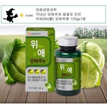 속쓰림 위에좋은 위장건강식품 불규칙한 식습관 위보호 양배추환 120gx1병(2개월분), 위애 120g x 3병 (6개월)