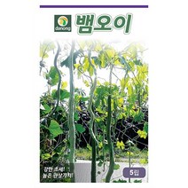 그린비타 풋고추 50립 - 씨 씨앗 오이고추 아삭이고추 고추씨앗 고추씨 채소씨 채소씨앗 오이고추씨앗 아삭이고추씨앗, 17_다농_뱀오이(5립)