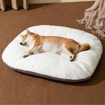 댕댕이 꿀잠 방석