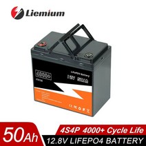 리튬이온배터리 딥 사이클 배터리 팩 12V 6Ah 10Ah 20Ah 50Ah 100Ah lifepo4 충전기 BMS 내장 어린이 스쿠터용 세금 없음 신제품, 12V 50AH-P