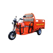 대풍 나이스3L 삼륜 전기화물차, DE-3L