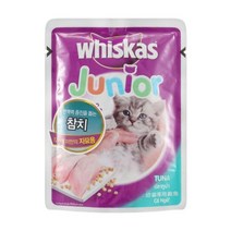 고양이간식 고양이간식추천 고양이 위스카스 주니어 85g 1P, 1개, 해당 상품 선택하기