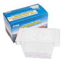 아마존 AMAZON 부화통(미니), 1개