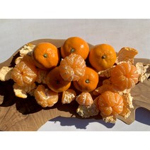 22년 제주 굴뀰 고당도 타이벡 노지 조생 감귤 밀감 로얄과 5kg 1Box, 고당도 타이벡 로얄과 5kg