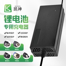 전원 전동 지게차 노인차 이삿짐 덮개 자동차배터리충전기, T05-54 족한 2A형 충전구는 메모해
