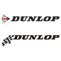 DUNLOP 던롭 타이어 차량용 데칼 튜닝 스티커, 1개, 선택-2그린(소)
