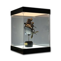 아크릴 진열장 피규어 케이스 보관함 받침대 장식장 진열대 전시장 박스 굿즈, 15cm, 15X15cm