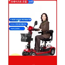 어르신전동차 전기차 농가 시골 세발 스쿠터, 24V, 250W12AH 납산 약 40마일