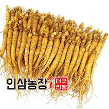 더굿진생 금산 인삼 수삼 원수삼 난발삼 파삼 삼계 350g, 1개, (세척안함)식당알뜰형350g(40~50뿌리