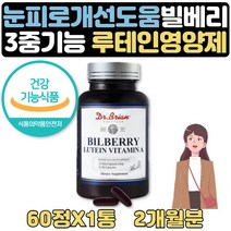 수험생 에좋은음식 눈이피곤할때 눈건강 피로회복 2달 눈이피곤할때 여성 남성 여자 남자 30대 40대 50대 60대 눈 피로회복 도움 제품 영양제 보조제 고3 고시생 누태인 BILBERRY