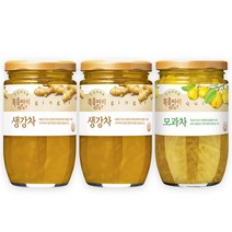 복음자리 생강차470g 2개+모과차480g 1개 외(유자 배도라지 민트유자), 생강차470g/2개+모과차480g/1개