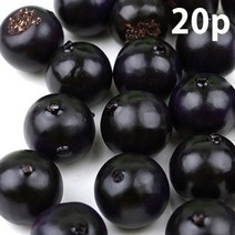 아사이베리 모형 블랙 커런트 마키베리 마퀴베리 아로니아 1.7cm 20개 세트 과일