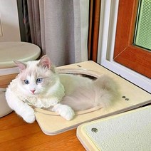 [펫502] 고양이 창틀 캣타워 창문 해먹 캣워크 사각형 타원형 2TYPE, [사각] 창틀캣볼 대형, 투명해먹 포함