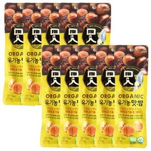 CJ 유기농 맛밤 42g x 10개 간식 디저트 안주 견과류 견과 꿀밤 군밤