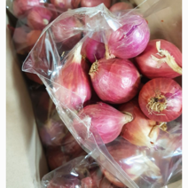국내산 신선하고 맛있는 샬롯 보라색 양파 보라양파 바나나샬롯 미니적 (미니양파) 200g, 1개
