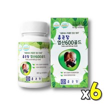 식약처인증 먹기쉬운 식약청인정 임신엽산 선물 가임기 pregnancy 간편한 임산부 먹는 청소년 임신전 선물세트 남자 Folic acid 수유부 프리미엄 더폴릭 엽산음식 초기임산부, 90정, 6개