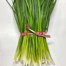 깐쪽파 실파 쪽파한단 1kg, 1단