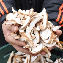 사천숲속표고 GAP친환경건표고버섯세트300, 1박스, 숲속표고GAP친환경표고버섯편채300G
