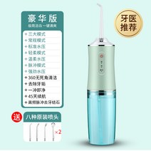 물분사칫솔 셀프치석제거기 차태제거기 치아관리기 이빨세정기 이빨세척기 물나오는칫솔 이세척 이빨세척 입똥제거 치아물총 구강세정기 전동치석제거기, 민트(3모드+8 노즐+2500밀리암페어)