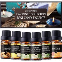 라구나문 Fragrance Oil 프로그랜스 오일 베스트 캔들 향 6종세트 Best Can, 상품선택