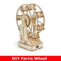 과학 장난감 교육 실험 키트 나무 탱크/뮤직 박스/균형/기계 집게/굴삭기/시계 DIY, 16 Ferris Wheel