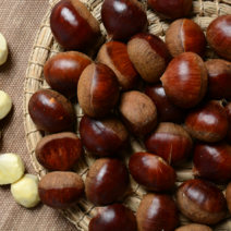 공주밤 정안 알밤 고맛나루밤 밤농장 100년 맛밤 햇밤, 업소용(특대)20kg