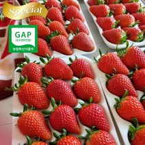 메리퀸 설향딸기 800g내외(특24~30과) GAP인증 딸기농장 직송