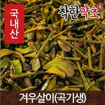 착한약초 국내산 몸에좋은약초 150종, 12RD_국산 겨우살이(곡기생) 600g, 1개