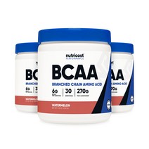 뉴트리코스트 BCAA 헬스보충제 워터멜론, 262g, 3개