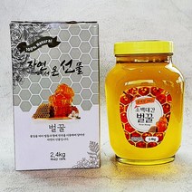 홍제원 소백산 아카시아 100% 벌꿀 2.4kg, 1병, 벌꿀(2.4Kg)