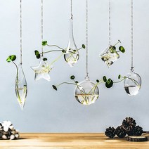 행잉유리볼 벽걸이 유리 꽃병 인테리어 수경화분, 얼음 송곳