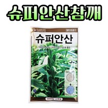 참깨씨앗 슈퍼안산참깨 3000립 가지깨 씨 펠렛 코팅 종자