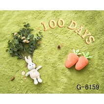 신생아 본아트 50일 100일셀프촬영 스튜디오 아기 사진 배경지, 상세페이지 참조, 상세페이지 참조, U타입