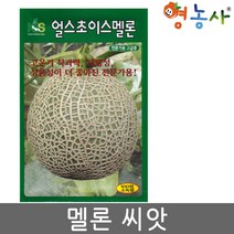 멜론 씨앗 100립, 멜론씨앗