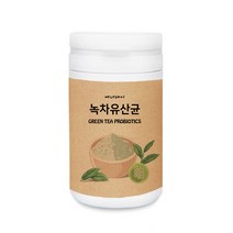 녹차유산균 분말 가루 신프리바이오틱스 유익균먹이 락토바실러스 가세리 플란타럼 김치유산균 녹차유래유산균 LGG 모유 유산균, 1개, 230g