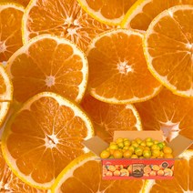 [제주열매] 고당도 감귤 서귀포 산지직송, 1box, 중대과-2.5kg