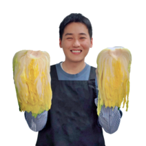 [예약배송] 땅끝 해남 HACCP 소금으로 절인 천일염 절임배추 20kg, 해남 절임배추 / 20kg(7~11포기)