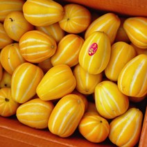 성주참외 상주참외 2kg 5kg 못난이참외, 가정용 중과 5kg 15-20과
