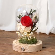 프리저브드 장미 유리돔 프리저브드 꽃선물 LED 무드등 여자친구 기념일 선물, 장미 레드(네추럴)