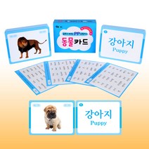 그린키즈 PP낱말카드_동물, 1개