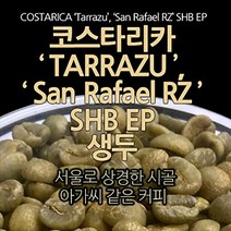 필더컵 코스타리카 Tarrazu San Rafael RZ SHB EP 생두, 원두, 500g, 500g, 1개