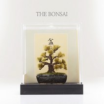프로디아 미니여쳐 분재 소나무 삼나무 장식모형, 선택02 소나무 (흑색 화분)